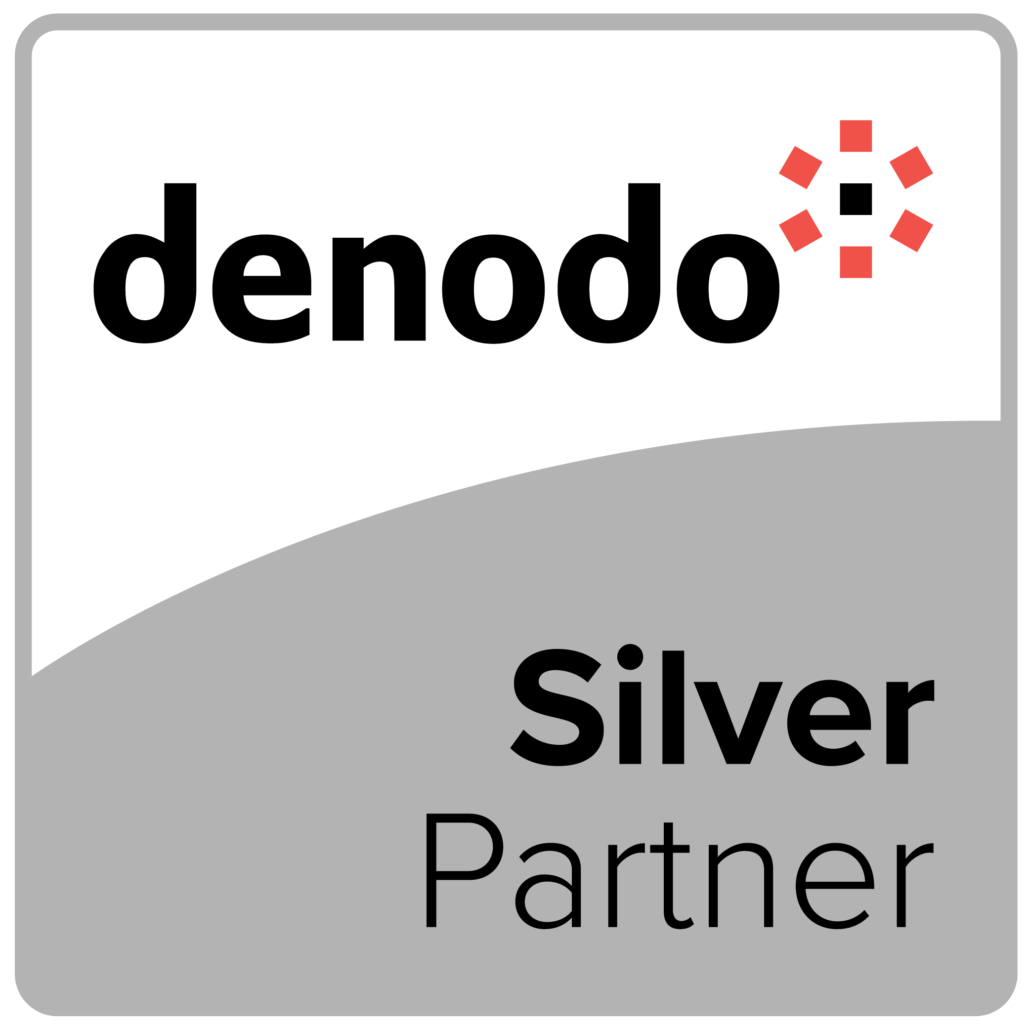 Denodo Partner